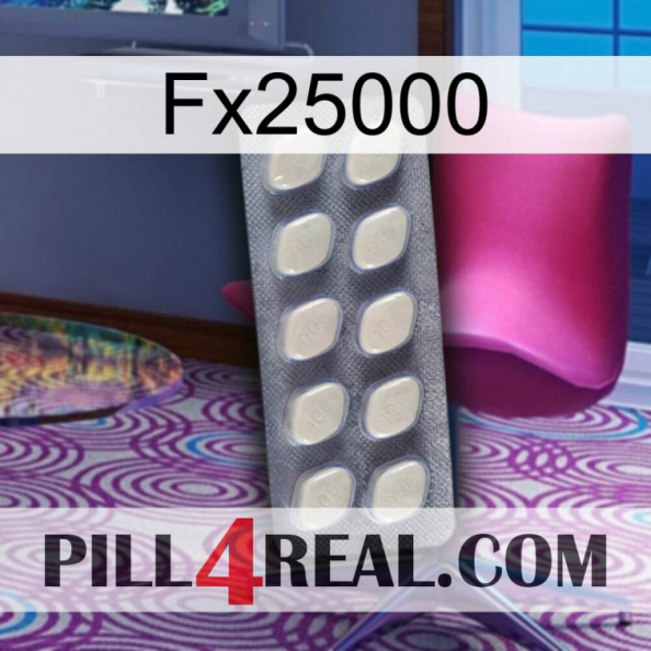 Fx25000 08.jpg